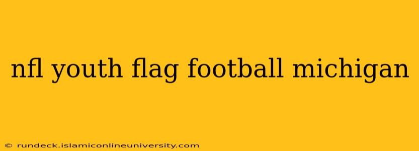 nfl youth flag football michigan