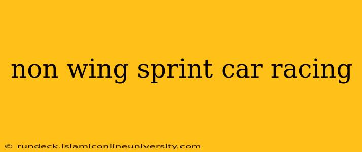 non wing sprint car racing