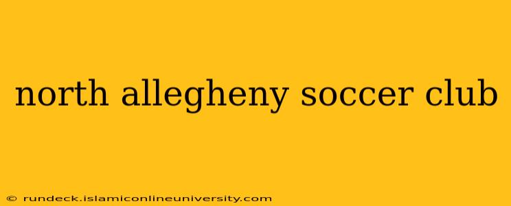 north allegheny soccer club