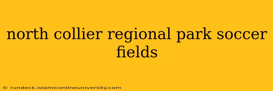 north collier regional park soccer fields