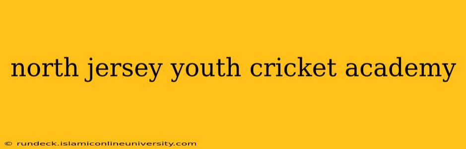 north jersey youth cricket academy
