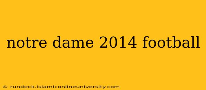 notre dame 2014 football
