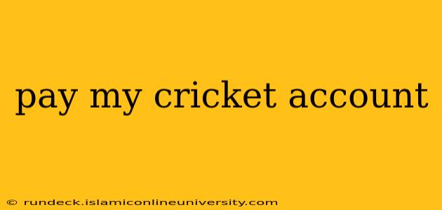 pay my cricket account