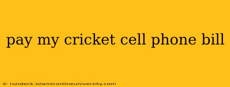 pay my cricket cell phone bill