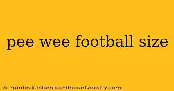 pee wee football size