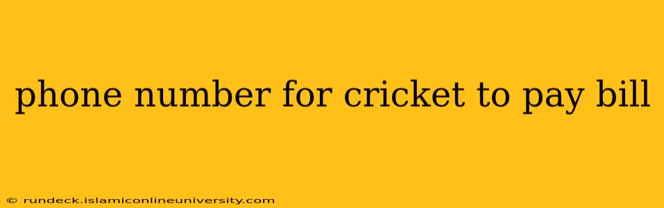 phone number for cricket to pay bill