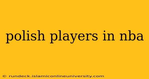 polish players in nba
