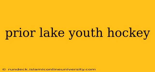 prior lake youth hockey