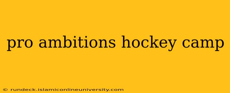 pro ambitions hockey camp