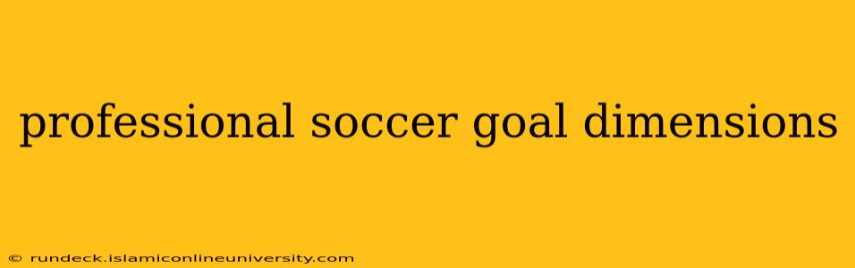 professional soccer goal dimensions
