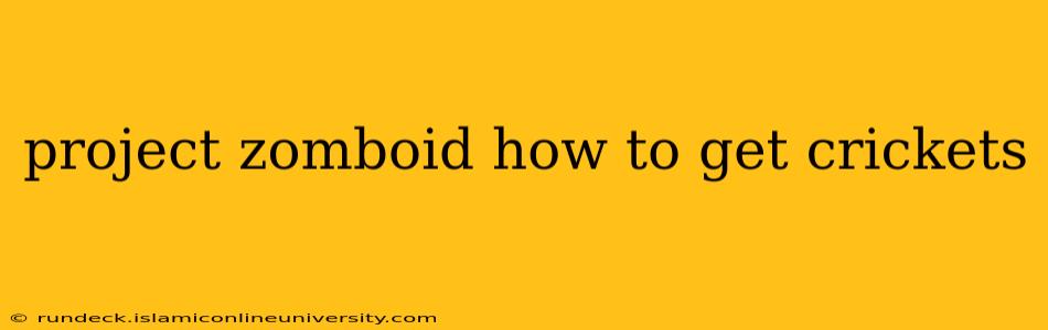 project zomboid how to get crickets
