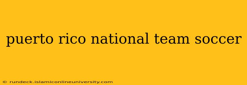 puerto rico national team soccer