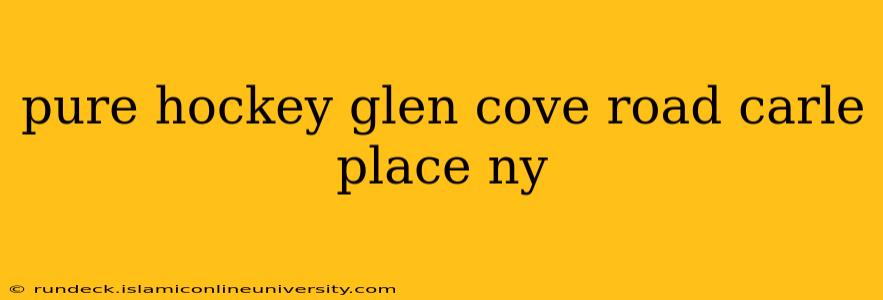 pure hockey glen cove road carle place ny