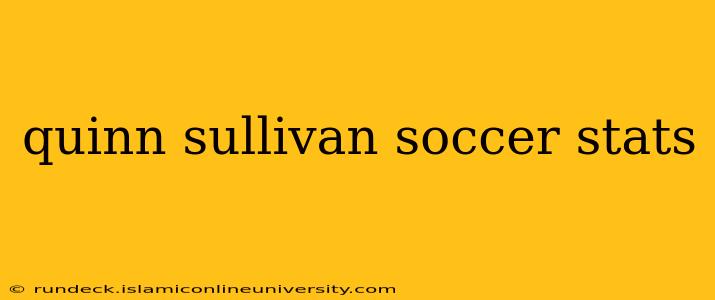 quinn sullivan soccer stats