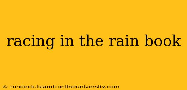 racing in the rain book