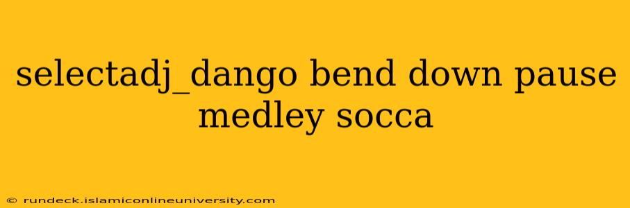 selectadj_dango bend down pause medley socca