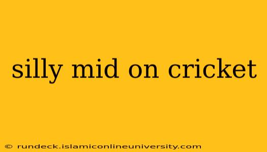 silly mid on cricket