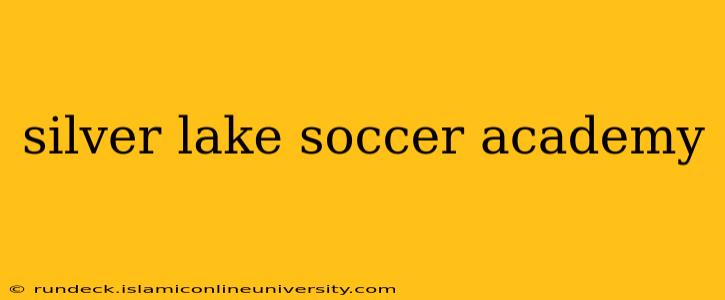 silver lake soccer academy