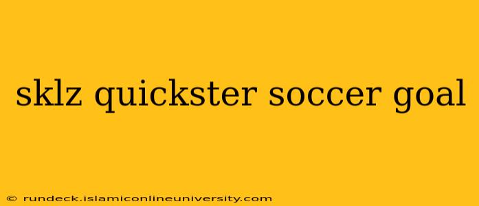sklz quickster soccer goal
