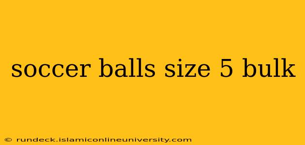 soccer balls size 5 bulk