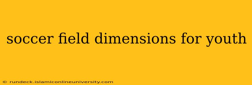 soccer field dimensions for youth