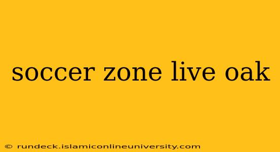 soccer zone live oak