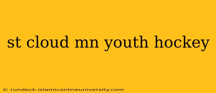 st cloud mn youth hockey