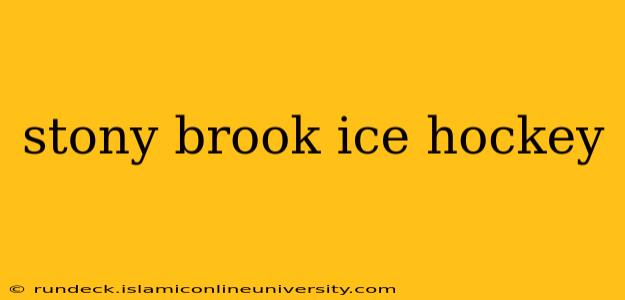 stony brook ice hockey