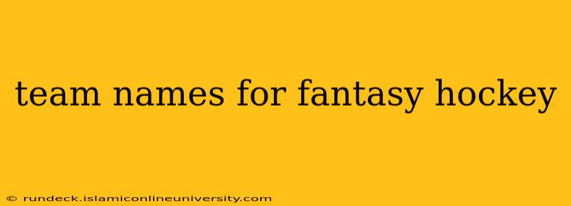 team names for fantasy hockey