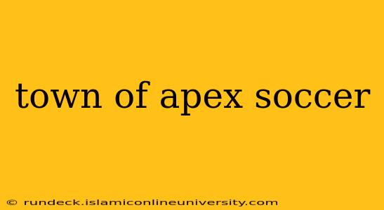 town of apex soccer