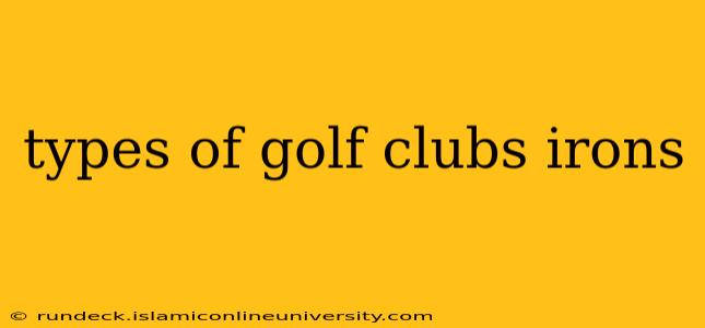 types of golf clubs irons