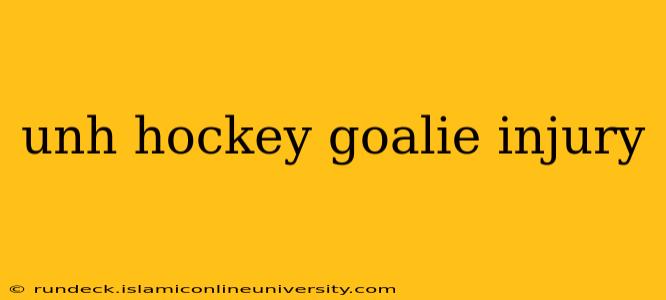unh hockey goalie injury