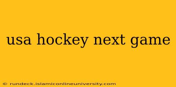 usa hockey next game