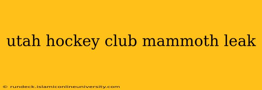 utah hockey club mammoth leak