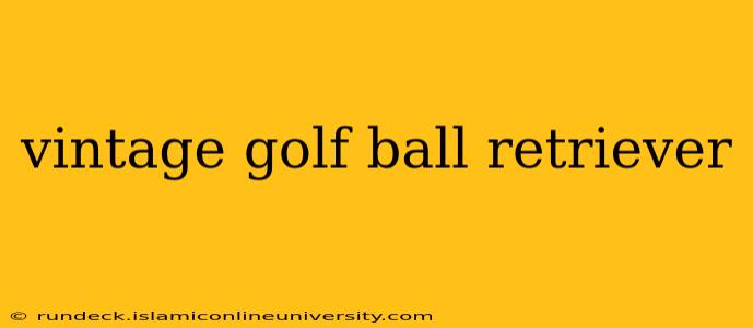 vintage golf ball retriever