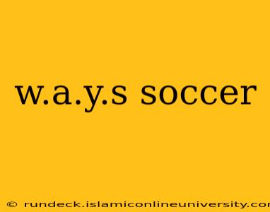 w.a.y.s soccer
