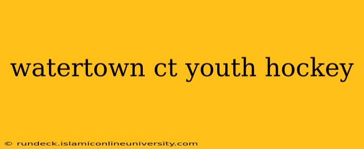 watertown ct youth hockey