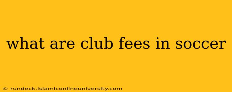 what are club fees in soccer