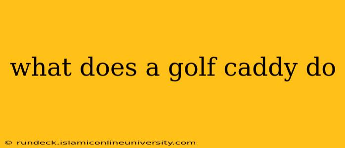 what does a golf caddy do