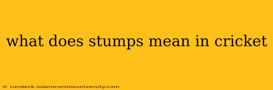 what does stumps mean in cricket