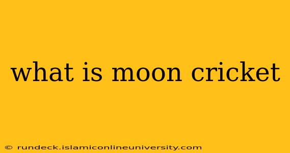 what is moon cricket