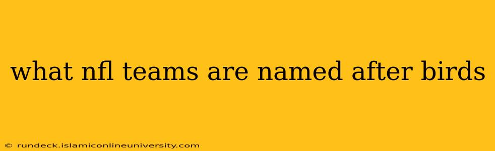 what nfl teams are named after birds