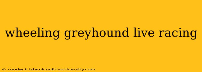 wheeling greyhound live racing