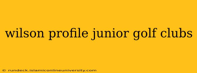 wilson profile junior golf clubs