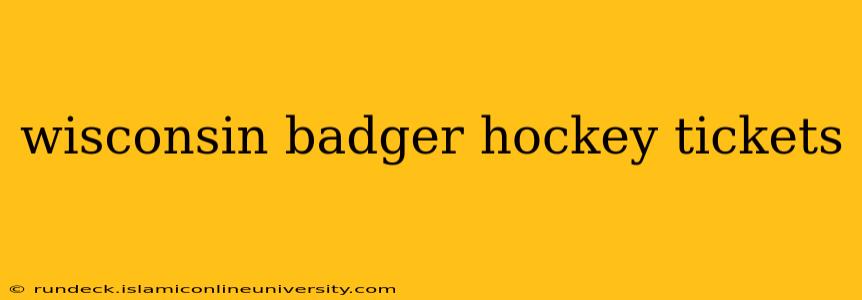 wisconsin badger hockey tickets