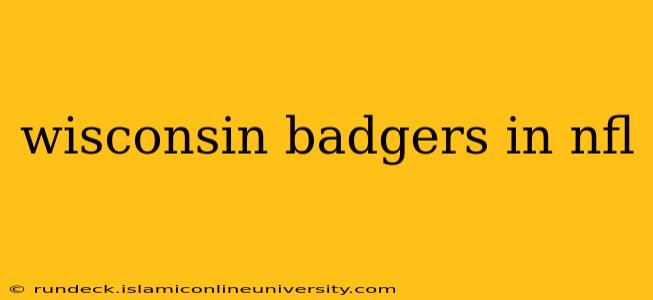 wisconsin badgers in nfl