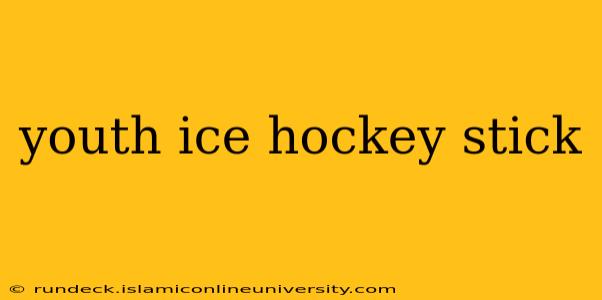 youth ice hockey stick